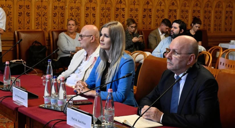 Szakértők szerint a profitorientált végrehajtási rendszer vezetett a visszaélésekhez