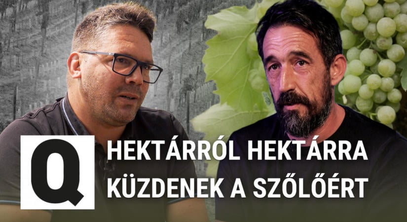 „Várod a darálógépet, hogy jöjjön legyalulni, ami még megmaradt”