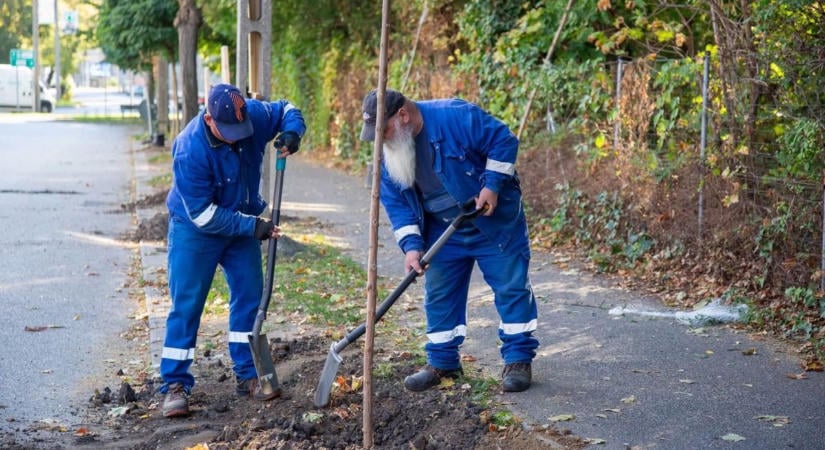 Újabb húsz fával folytatódik az 1000 fát ültetünk program Sopronban