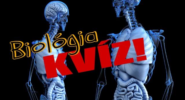 Biológia kvíz: Imádod a Vészhelyzetet és a Dr House-t? Akkor ez kispálya lesz!