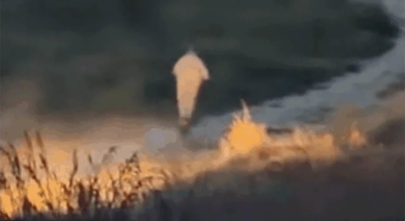 Elektromos rollerrel menekült a rendőrök elől egy 13 éves fiú – videó