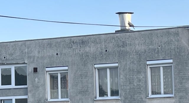 Tizenegyből négy komlói bérlakás talált új lakóra
