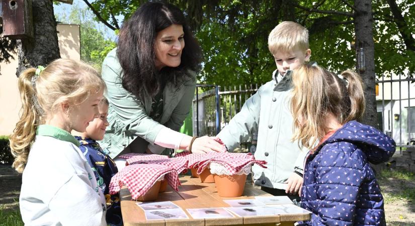 Föld napja Mosonmagyaróváron: bogárdetektív és békamentő ovisok a Vackor Óvodában - Fotók