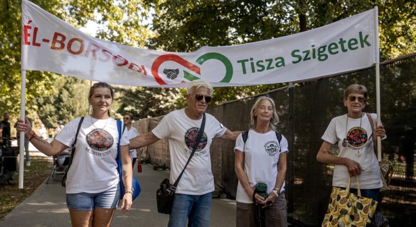 Körösényi András: Tisza Szigetek – mozgalomból szatellitszervezet?