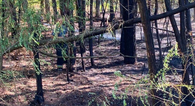 Erdős terület lángolt Bagamér és Vámospércs között