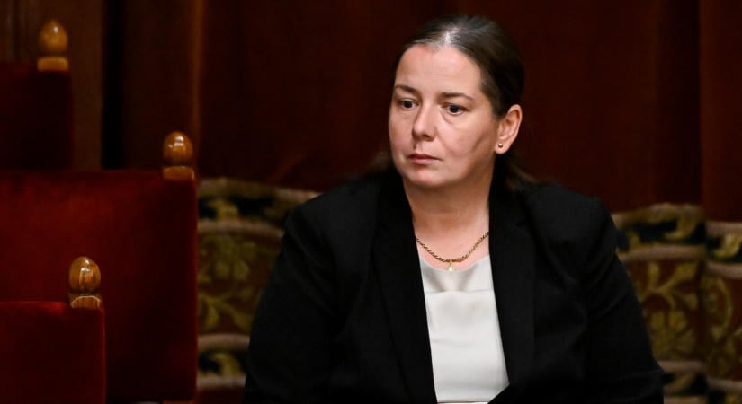 Közzétetteék, mennyit fizet a kormány Unger Anna és az NVVH vezetői védelméért