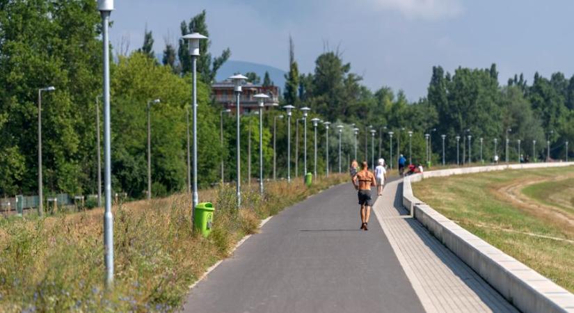 Több mint egymilliárd forintot adnak, hogy valaki lekaszálja Budapesten a füvet