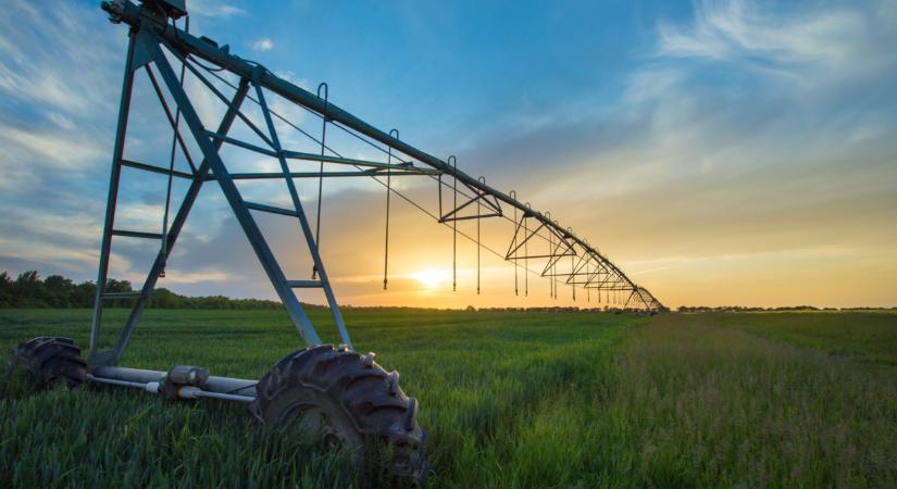 Megszólalt az Év női agrárvállalkozója: így lehet ma sikeresen gazdálkodni