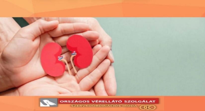 Bővülő lehetőségek az élődonoros veseátültetésben