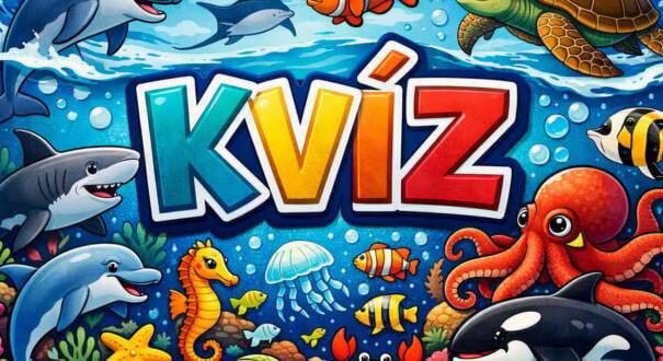 Nyolc gyors kvíz kérdés: Ezt az érdekes kvízt neked csináltuk (635)
