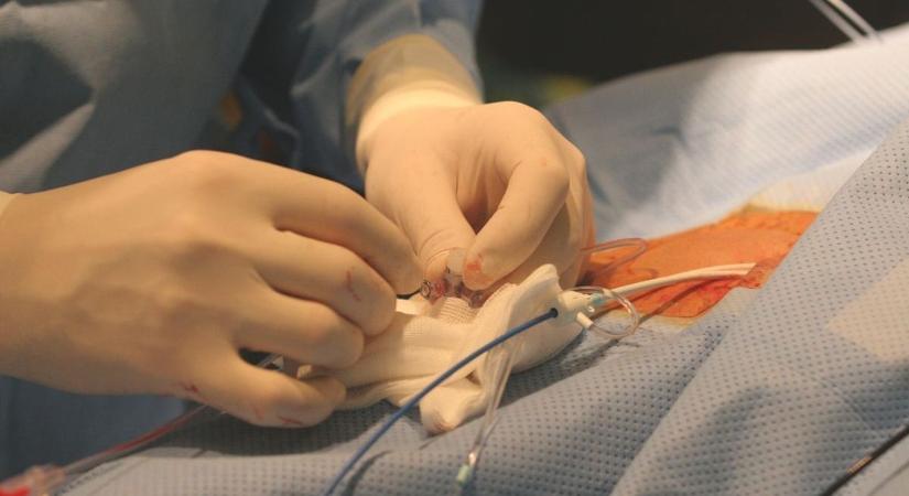 Felkavaró: chilipaprikás gumikesztyűvel kínozta meg az aranyeres betegét egy doktornő - videóval!