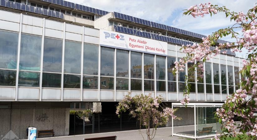 Hello Nagyvilág! Mutatjuk a Győrben született babákat
