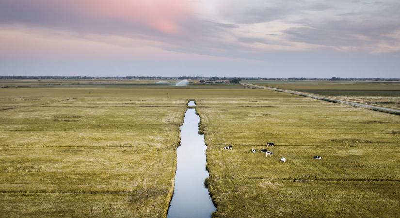 Hollandia vízhiányt hirdetett