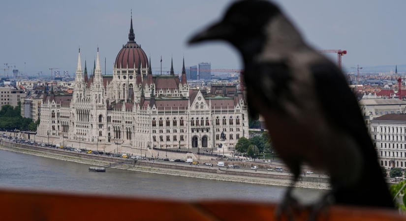 Gyermekvédelem, kegyelmi ügy, MNB: elhúzódhat a botrányos ügyek kivizsgálása