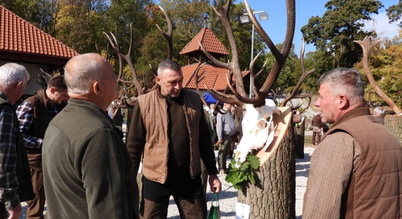 Vadászat a hazai legszárazabb nyár után, ilyenek a hőstresszt túlélő bakonyi szarvasok trófeái (galéria)
