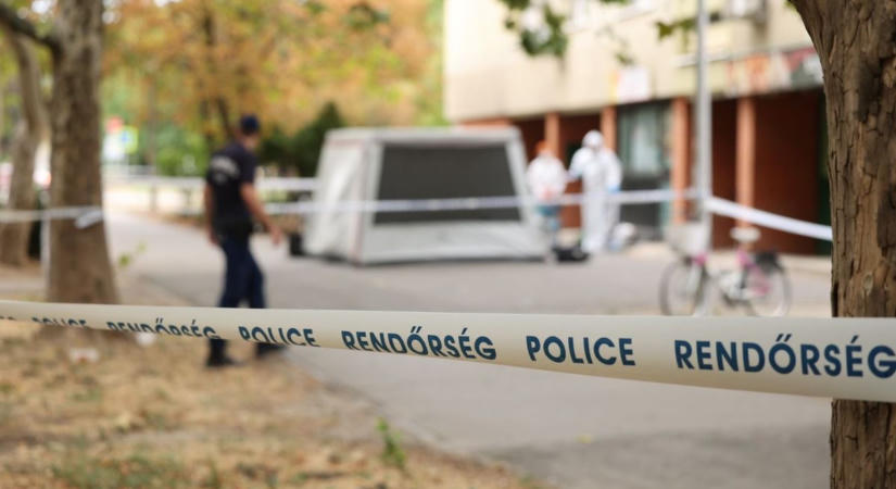 Elhunyt a 10. emeletről kizuhant gyermek, rendőrök és helyszínelők lepték el a szegedi panelházat  fotók