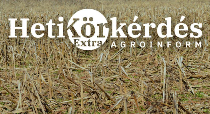 Szárzúzás, száraprítás felsőfokon! – Heti Körkérdés Extra