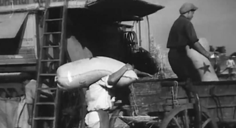 A nap, amikor ezernyi TSZ bomlott fel: 1956 elhallgatott agrárforradalma