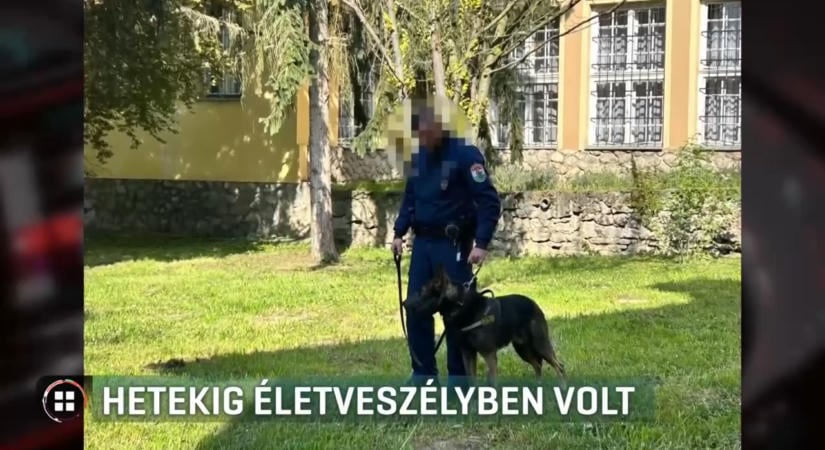 Járni tanul az elgázolt rendőr