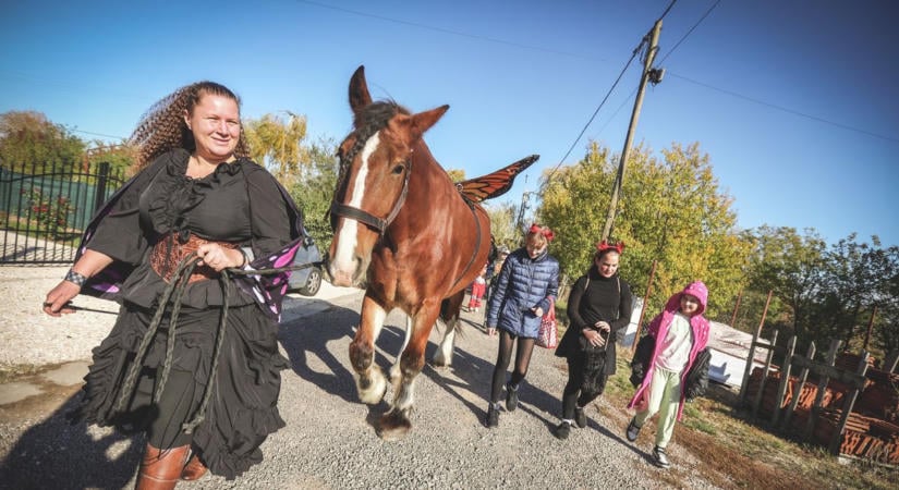 Itt van az ősz, itt van újra – legszebb arcát mutatja az őszi Baranya