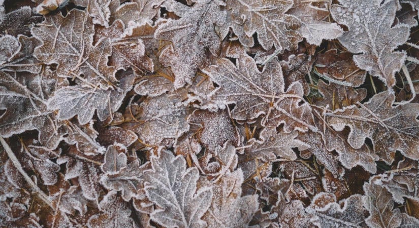 -13 fokot mértek Magyarországon, tilos lemenni oda, ahol ennyire hideg volt