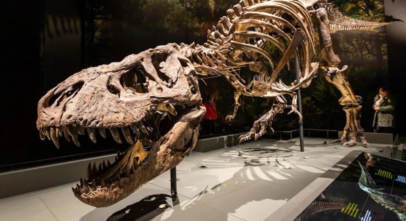 Ez az új dinoszauruszos film mindent megváltoztat