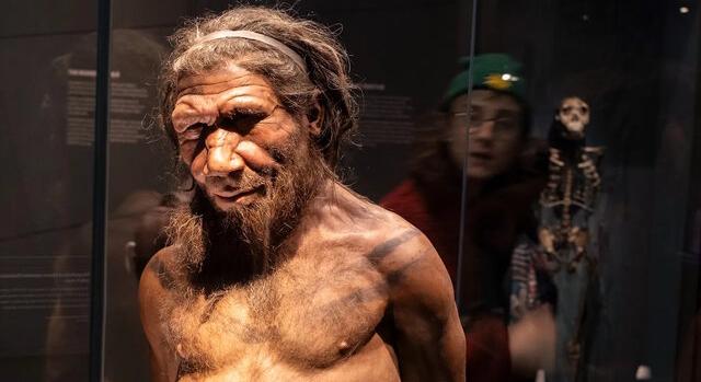 Távoli álom még a neandervölgyiek klónozása