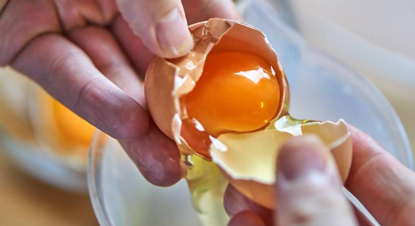 Sokak kedvenc diétás étele: de tényleg olyan egészséges a tojásfehérje?