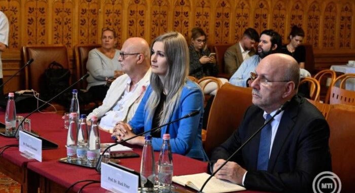 A parlamenti vizsgálóbizottság szakértői szerint a végrehajtás profitorientálttá tétele volt a visszaélések elsődleges oka