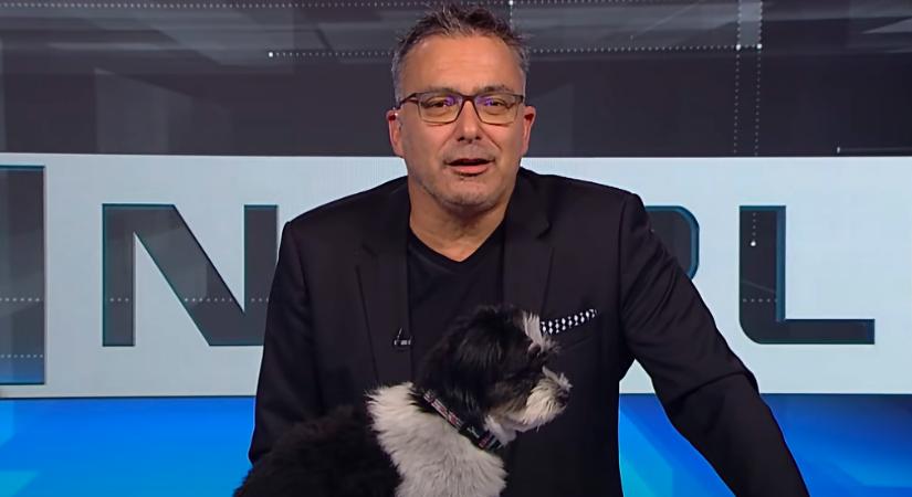 Váratlan vendég élő adásban: Sváby András ritkán látott kisfia ellopta a show-t a Heti Naplóban