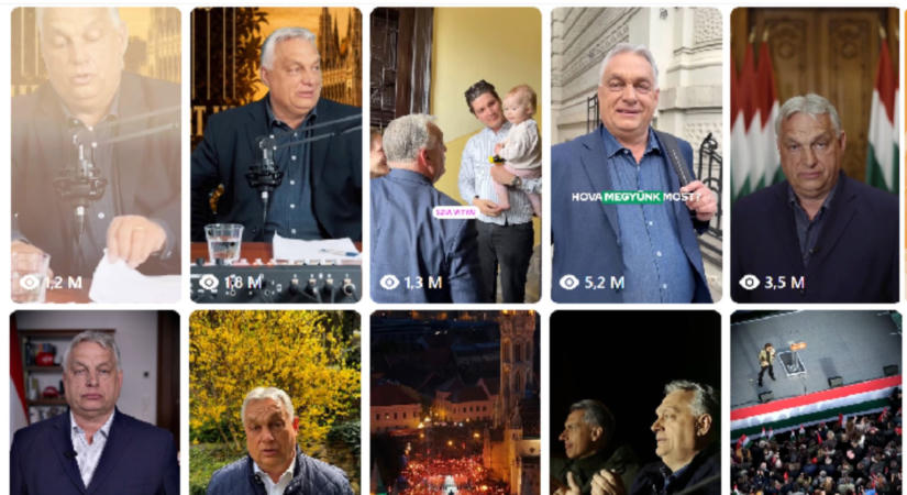 Kétmilliós fizetések, félmilliárdos profit: jól tejelt Kaminski Fanny cége
