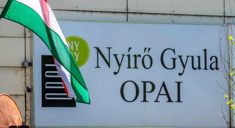 Dr. Váradi Enikő az OPAI főigazgatója