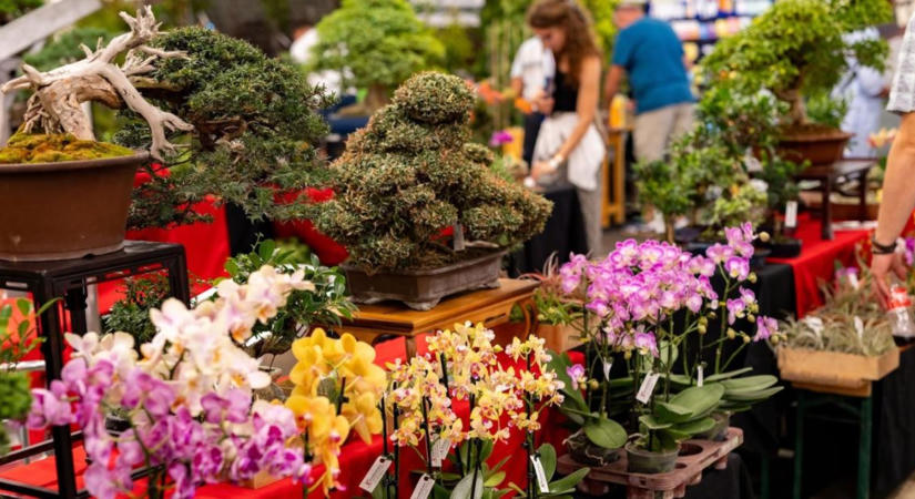 HungaroGreen 2026: Újra összefog a kertészeti szakma Szigetszentmiklóson