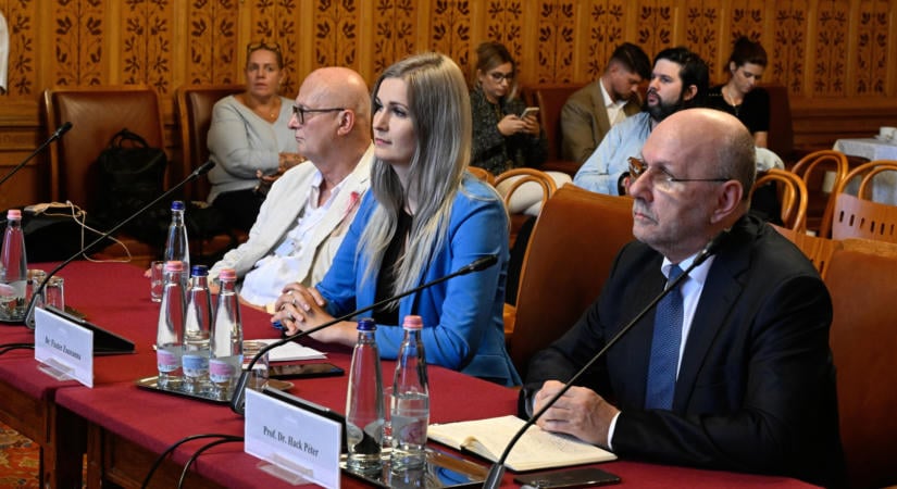 A végrehajtói rendszer és a bicskei ügy a vizsgálóbizottság asztalán