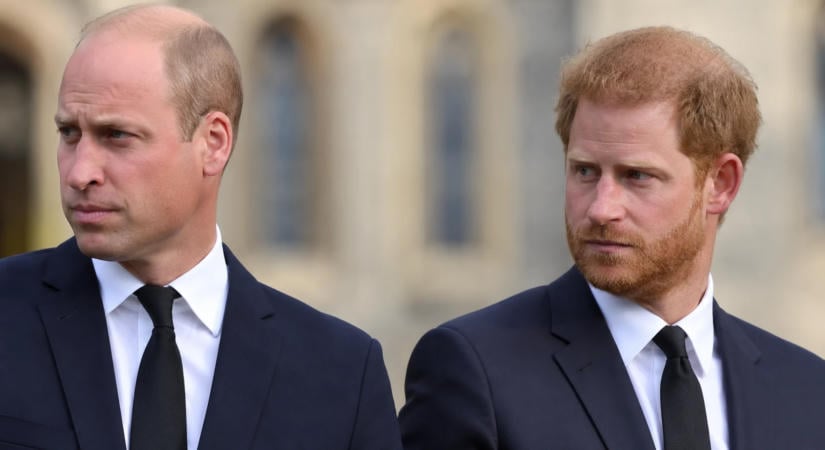 Egy szakértő szerint Vilmos herceg végleg leírta Harryt
