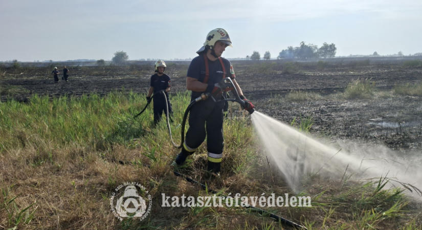 Hőség – Több mint ötezer szabadtéri tűzhöz riasztották a tűzoltókat az extrém meleg nyári időszakban