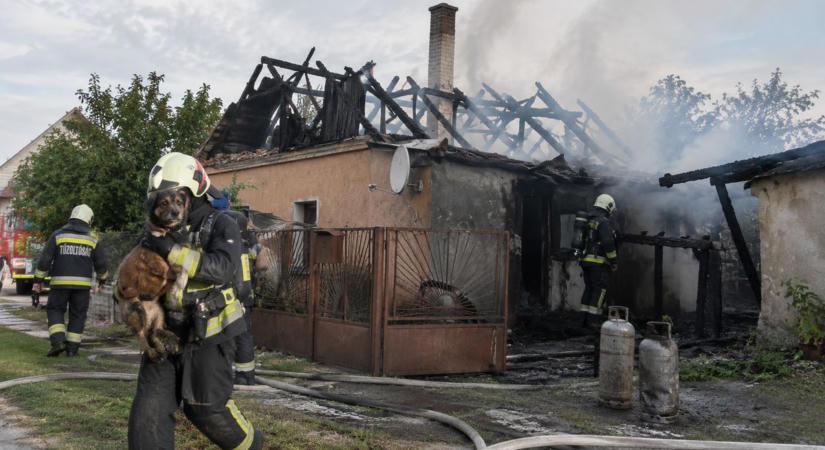 Kimentették a kutyát a tűzből, pillanatok alatt lángokba borult a ház