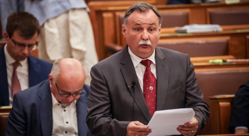 Gajdos László is megszólalt Kormos Anett menhelyes sztorija után