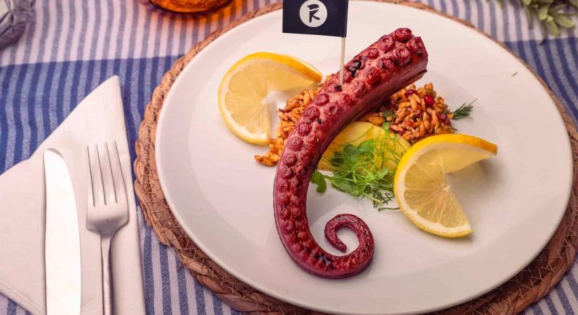 Itt a vegán polip – szabadjára engedték a The Krakent