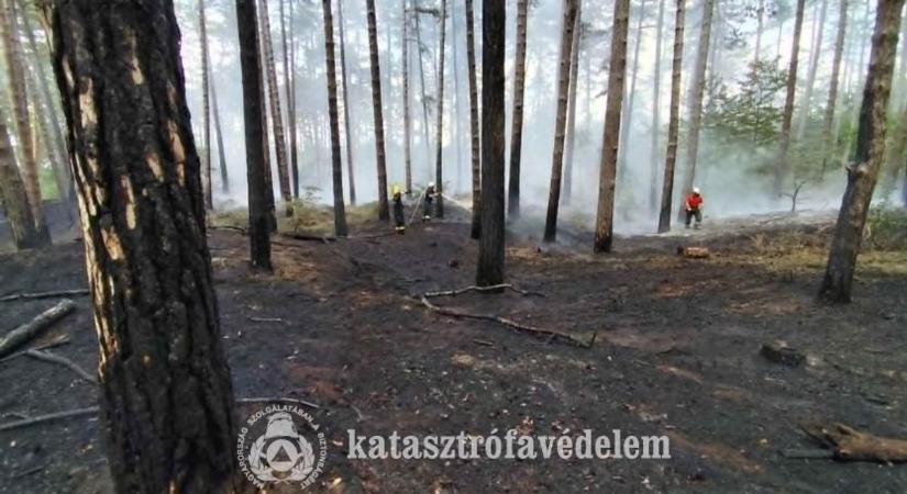 Fekete füstbe borult az égbolt: az idősek otthona közelében is felcsaptak a lángok (galéria)