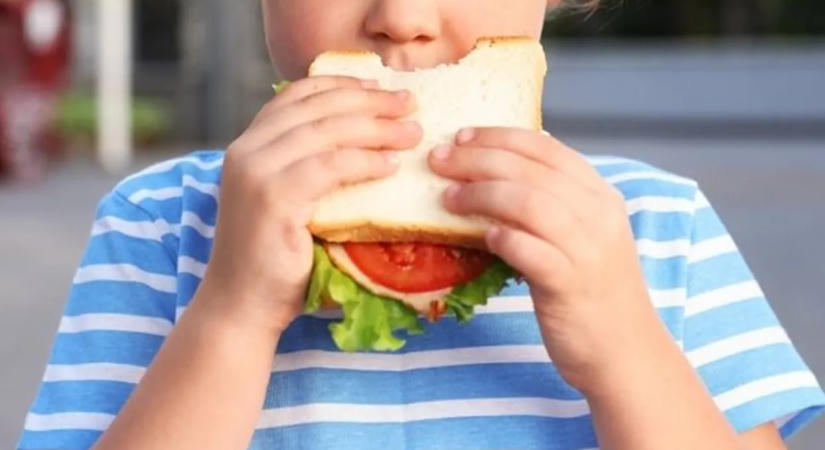 Fegyver alakúra harapta a szendvicsét, felfüggesztették az autista kisfiút az iskolából