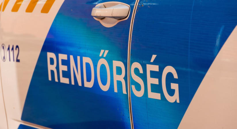 Drogfogás Kiskunhalason: fagyasztóban találtak kábítószert a nyomozók  fotó