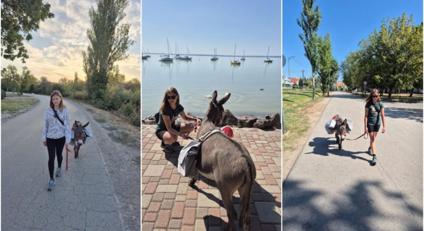 Törpeszamarával vágott neki a Balaton megkerülésének a 17 éves lovász lány
