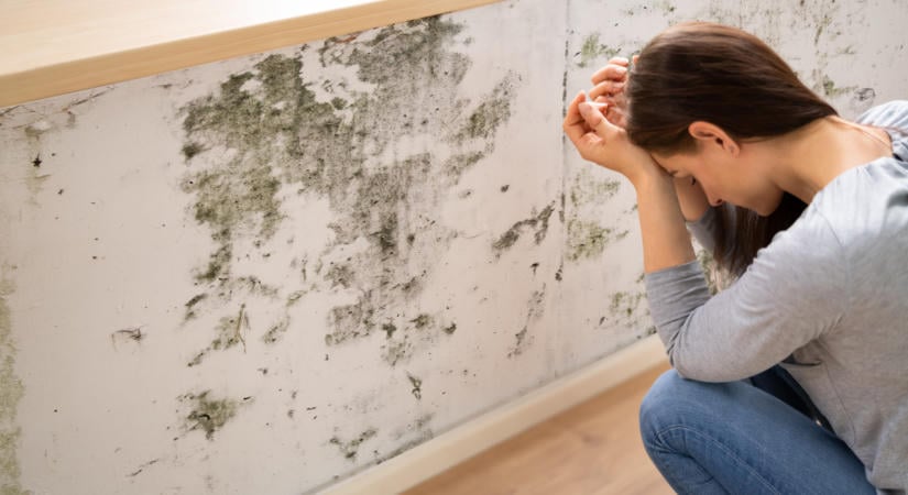 Ádáz penészesedés ősszel: ezt a hibát követi el minden második háztulajdonos