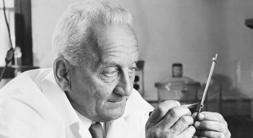 Elajándékozta Nobel-díját és motorral járt Szent-Györgyi Albert