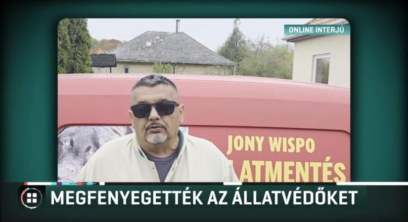 „Nagyon rossz gyufát húztál” – megfenyegették a négy kutyát kimentő állatvédőket