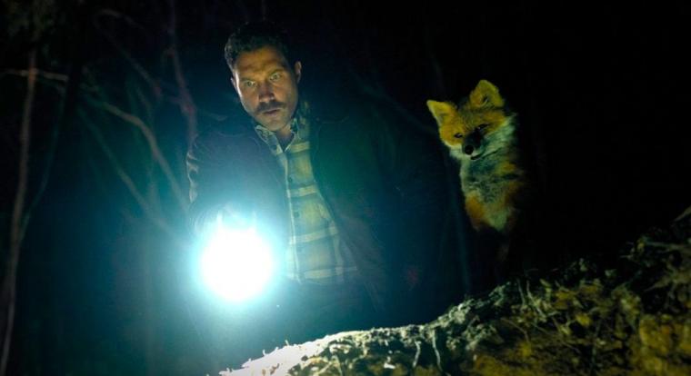 Ha gondok vannak az ágyban, ne a rókától kérj tippeket - teljesen agyament filmben tér vissza Emily Browning és Jai Courtney a mozikba