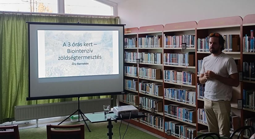Kicsi kert, sok termés: így lehet okosabban gazdálkodni minden négyzetméterrel