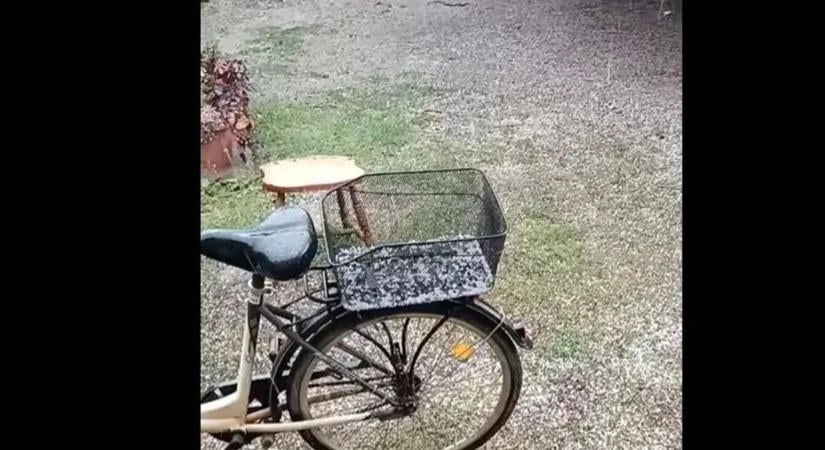 Kifehéredett a táj Békésben! Borsónyi jég borította a földet, mint a hótakaró - videó