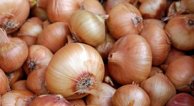Ezért ne vágd le a sárguló hagymaszárat a betakarítás előtt!